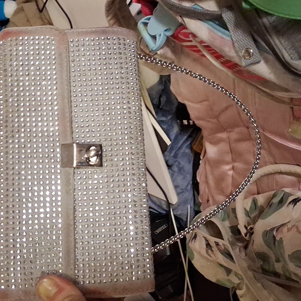Elegant Silver Clutch Bag